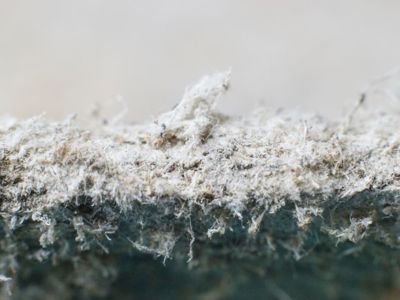 Asbestos Fibres Close Up