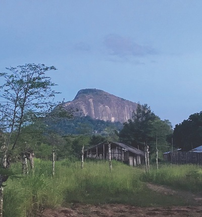 Mozambique Gemfields