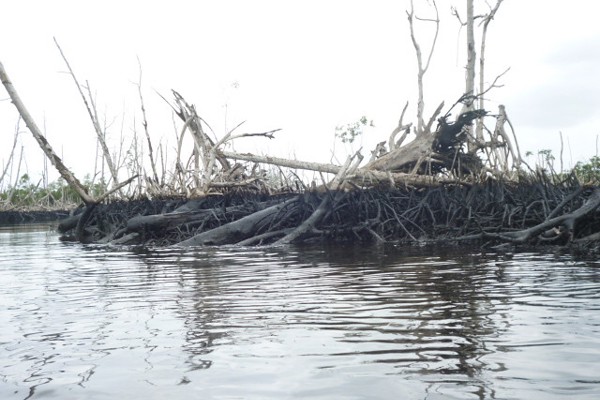 Oil damage Niger Delta