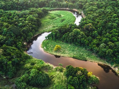 Mata Atlantica Atlantic Forest