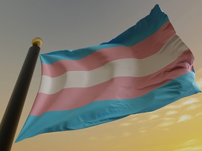 Trans Gender Flag