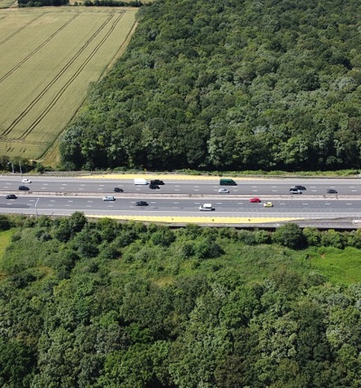 UK Motorway Traffic In Trees